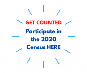 Get Counted 2020