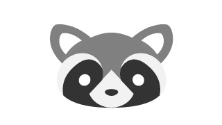 Raccoon Graphic