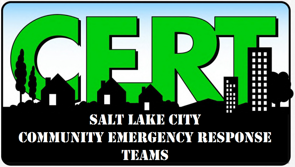 Community Emergency Response Team Logo