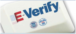 E-verify logo