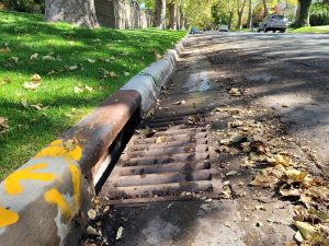 Storm drain covered in fall leaves.