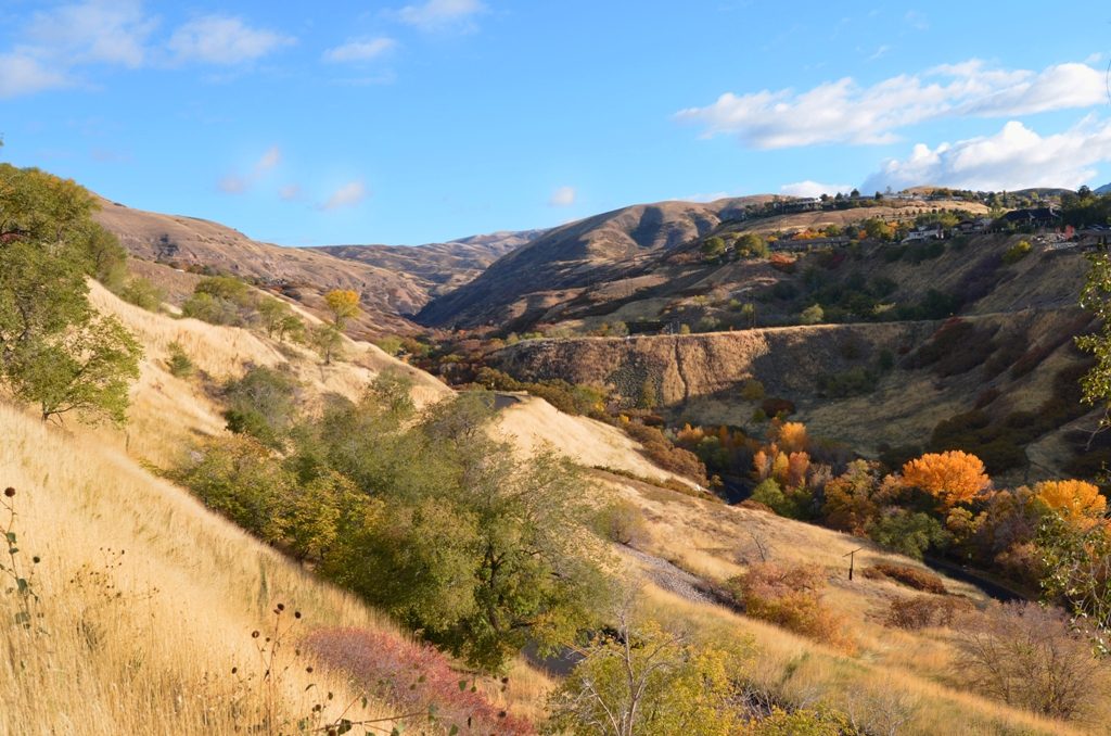 city creek natural area