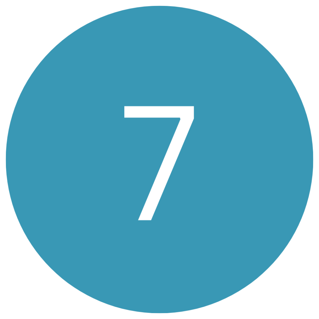Number 7 Icon.