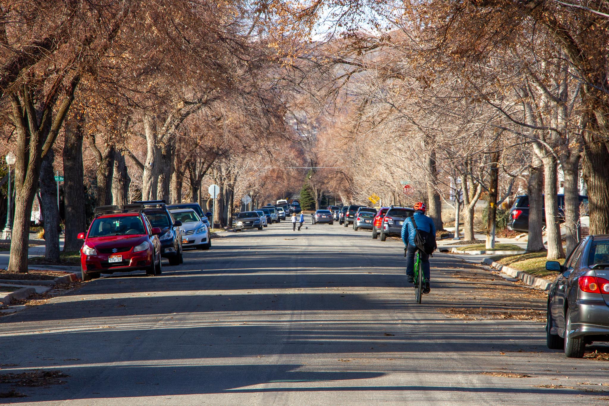 A person riding a bicycle along the Westminster to Kensington Neighborhood Byway