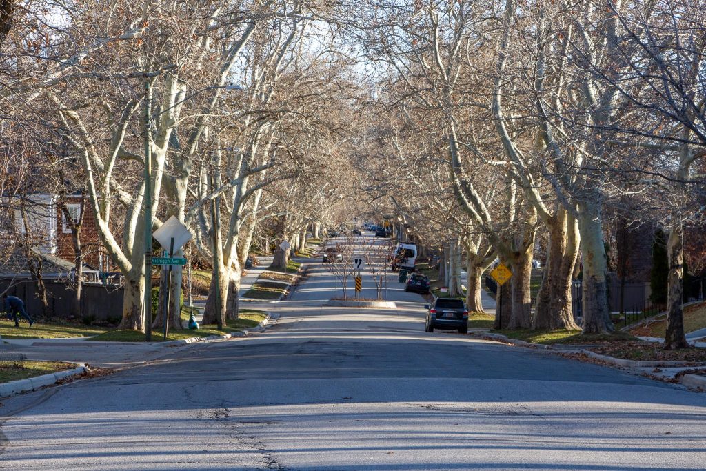 A tree-lined residential street with bare branches, suggesting late fall or winter. A small landscaped traffic circle with a yield sign is in the center of the road, guiding vehicles around it. Parked cars line both sides of the street, and a pedestrian is visible on the left sidewalk. The street sign at the corner indicates "Michigan Ave."