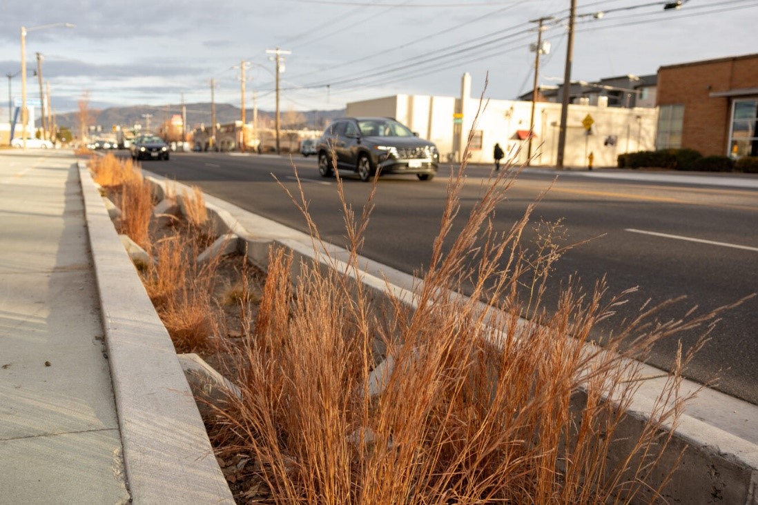 Landscaping & Buffers Chapter Amendments