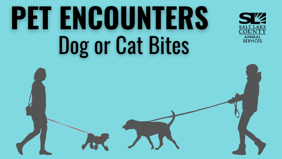 Logo: Salt Lake County Animal Services
Pet Encounters, Dog or cat bites