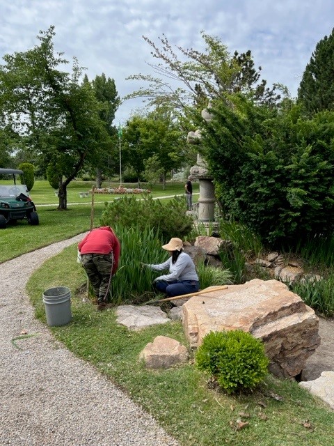 A man and woman weeding the garden.