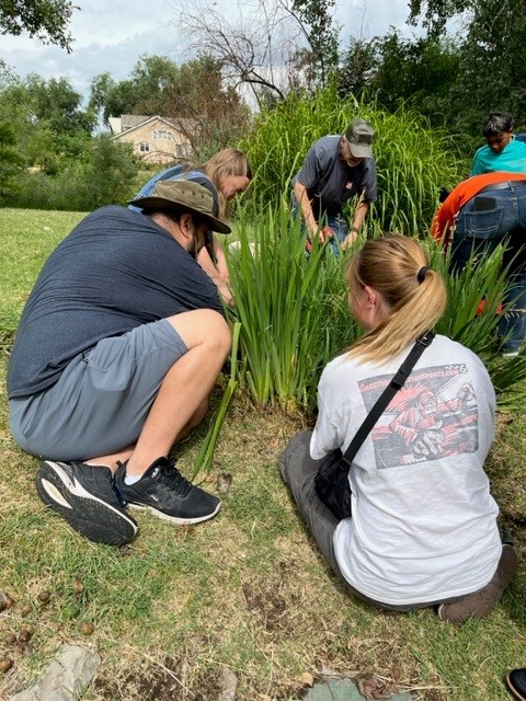 People weeding the gardens.