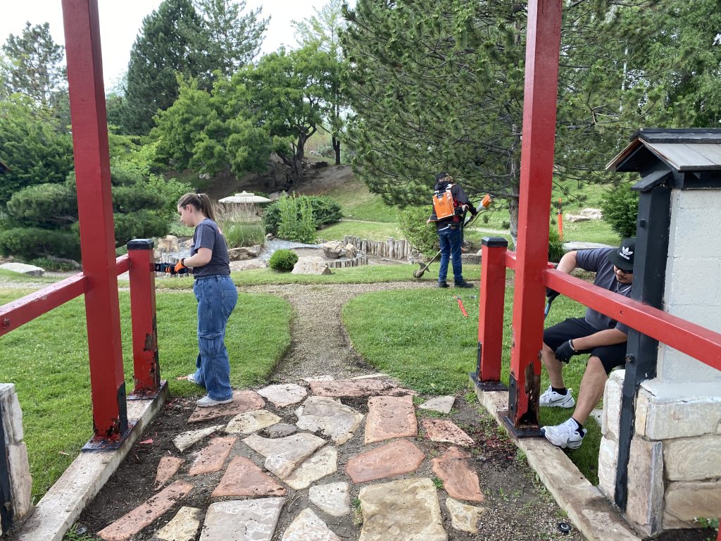 People scrapping old paint off the gateway into the Japan Garden.