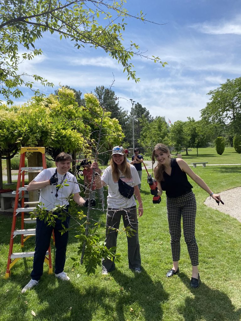 A man and 2 women smile at the camera while holding the branch they just cut.