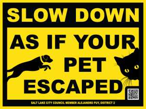 Slow down, as if your pet escaped.