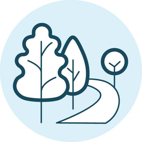 Sycamore and London Plane Tree Study