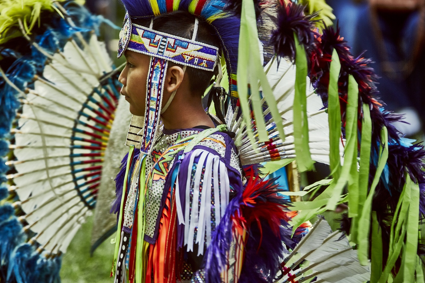 Stories Just Waiting to be Told at the Living Traditions Festival