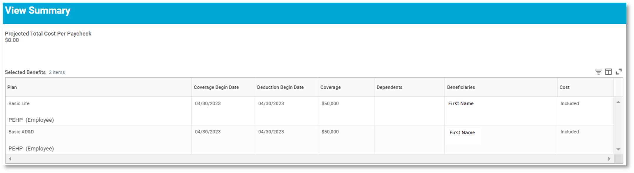 View summary page in Workday