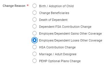Select employee/dependent loses other coverage
