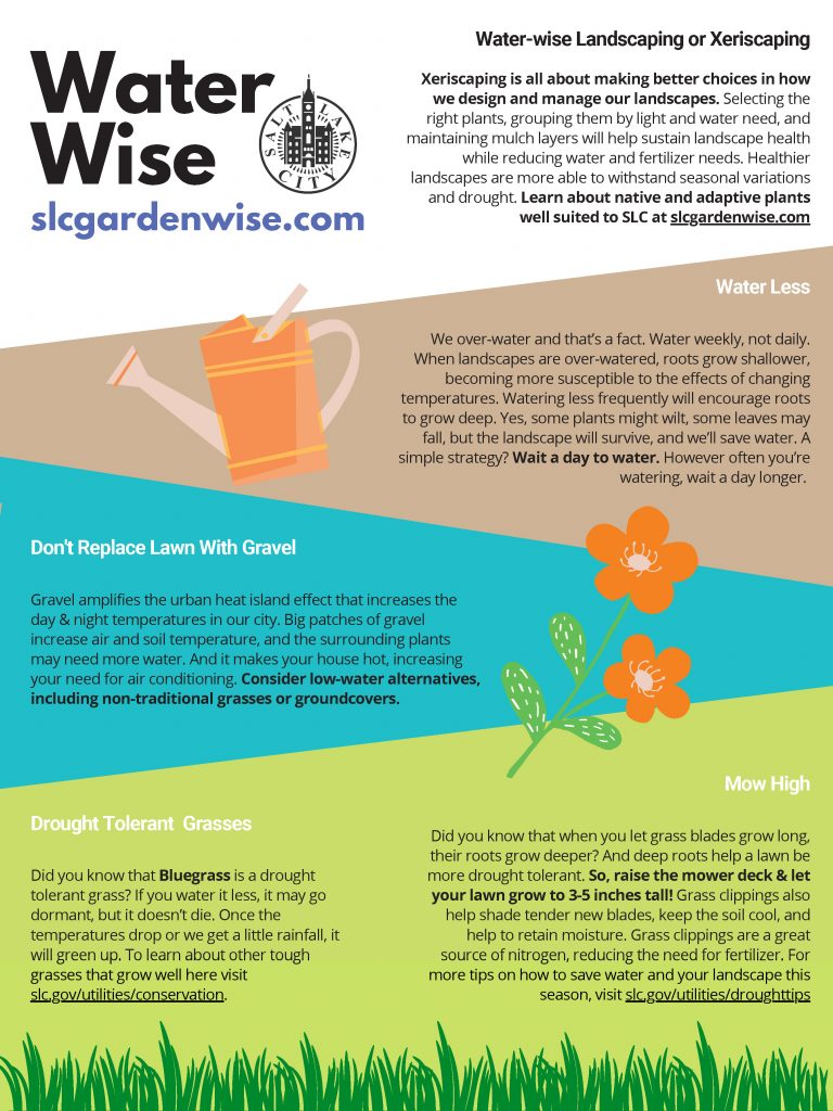 Flyer of Water-wise landscaping or xeriscaping. 