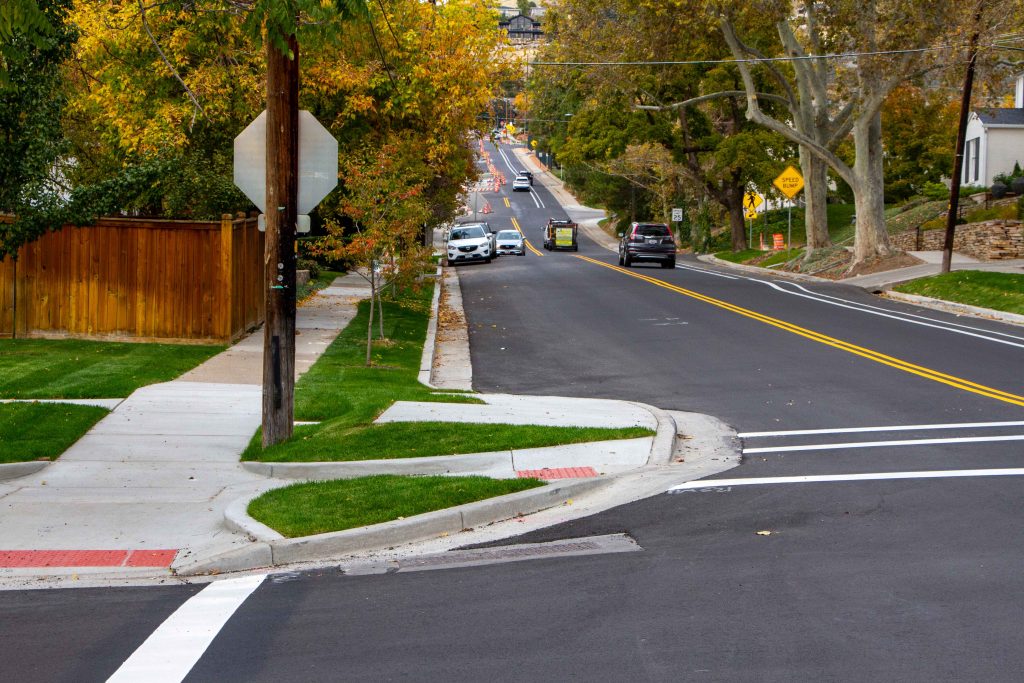 A picture of a landscaped curb extension on Virginia Street. 