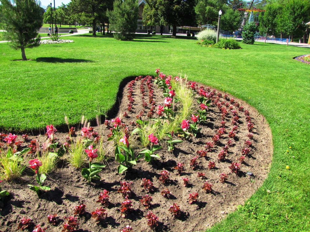 flower bed