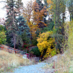 An overview image of the park or open space.