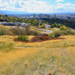 An overview image of the park or open space.