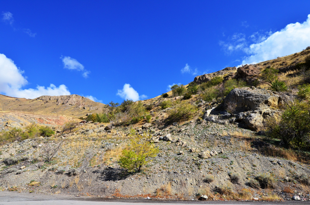 Stansbury Shoreline Preserve Public Lands Department
