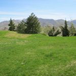 An overview image of the park or open space.