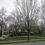 An overview image of the park or open space.