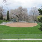 An overview image of the park or open space.