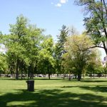 An overview image of the park or open space.