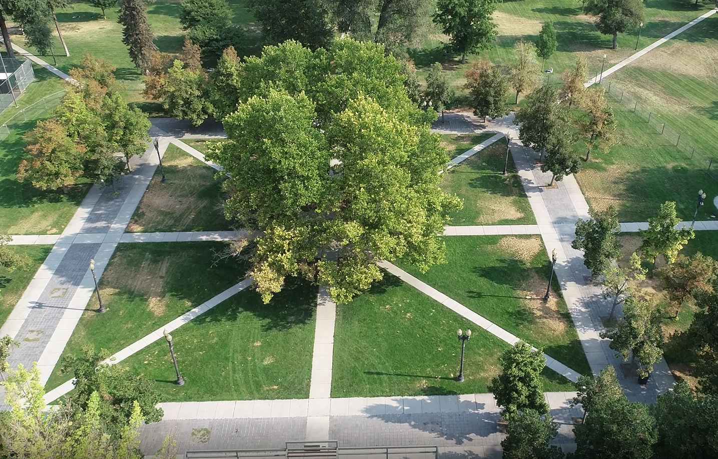 Pioneer Park Improvements Public Lands Division