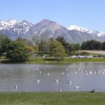 An overview image of the park or open space.