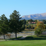 An overview image of the park or open space.