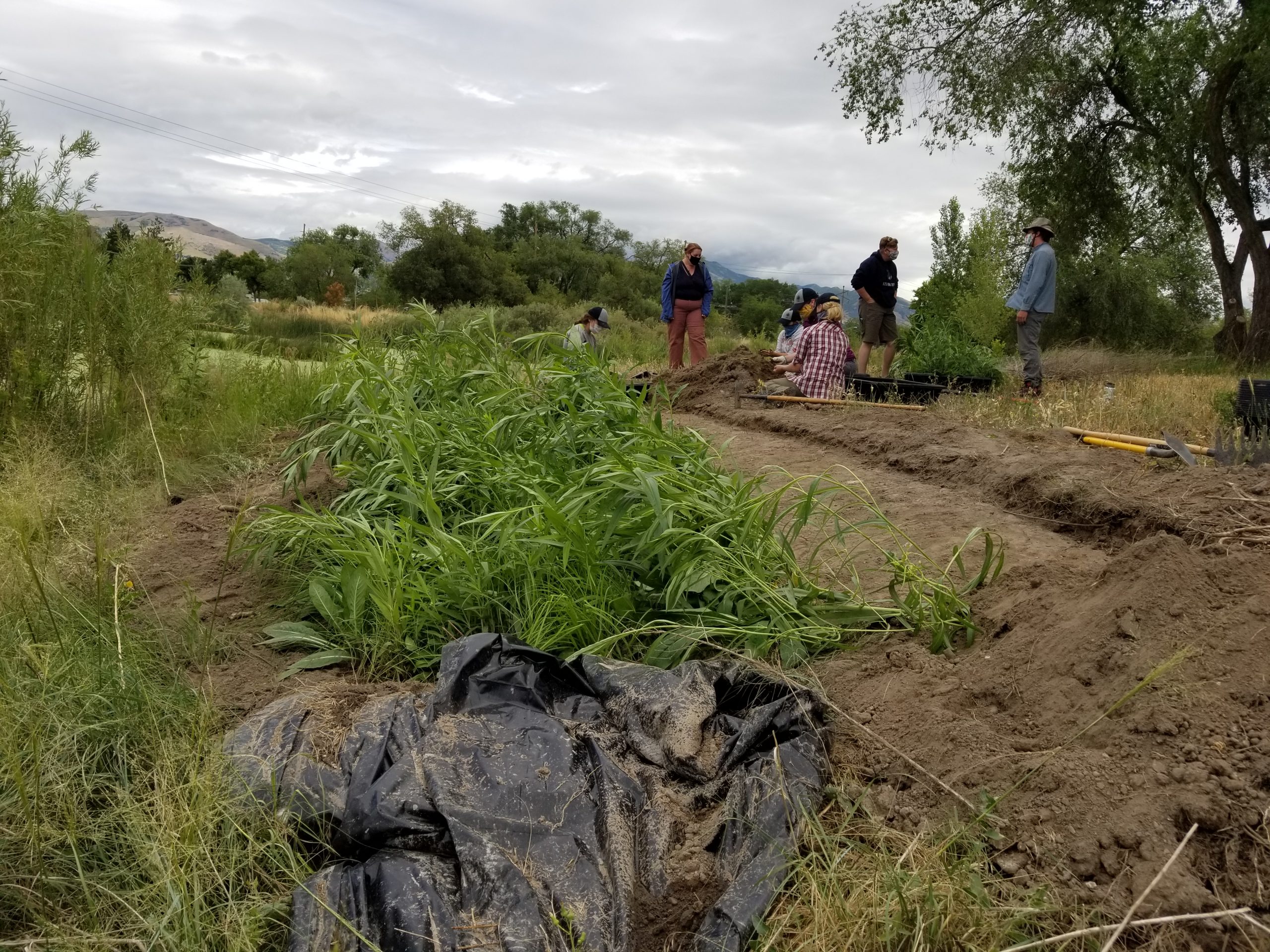 Fife Wetlands Preserve Gets page With Natural History Museum