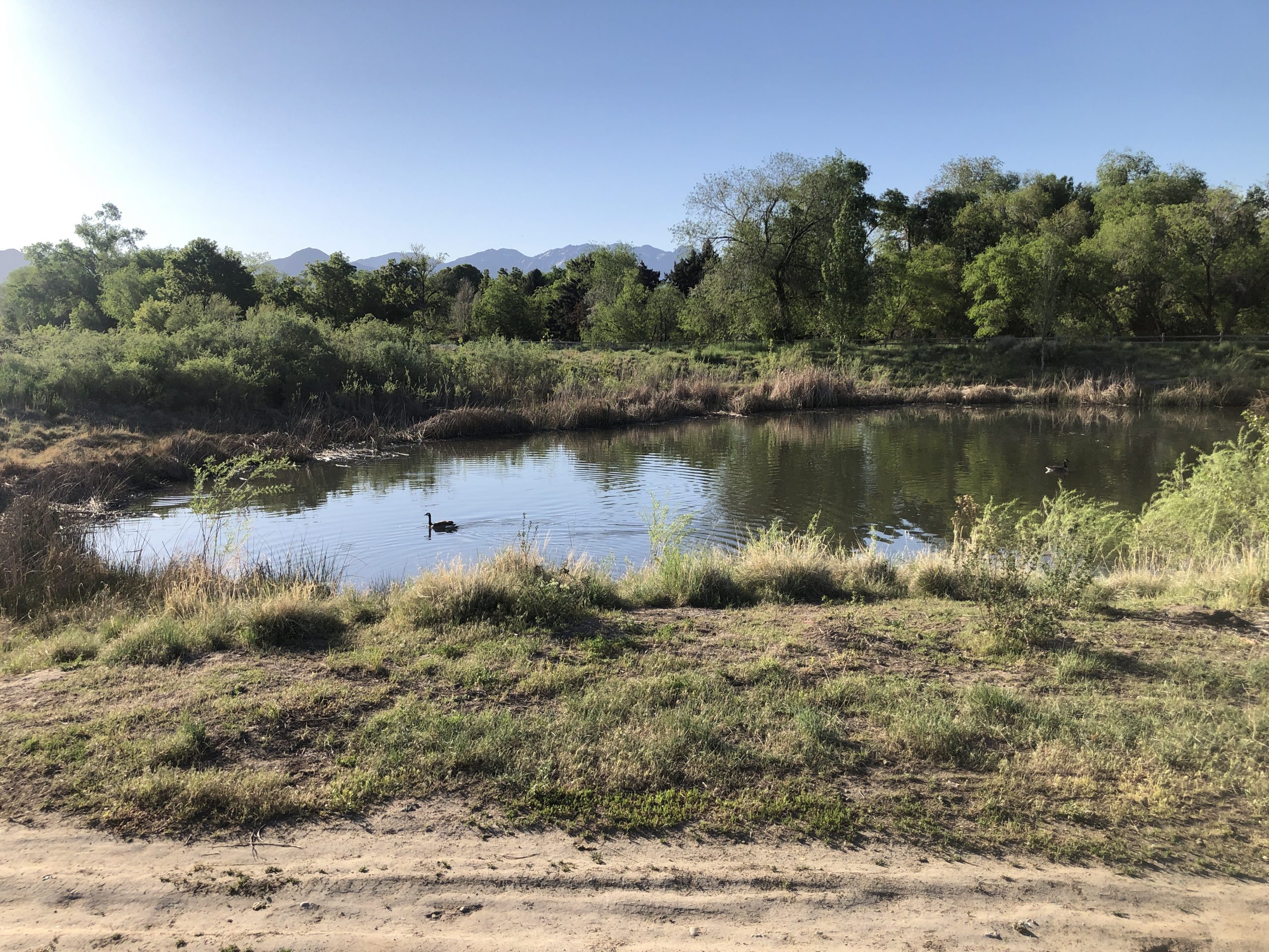 Fife Wetlands Preserve Gets page With Natural History Museum