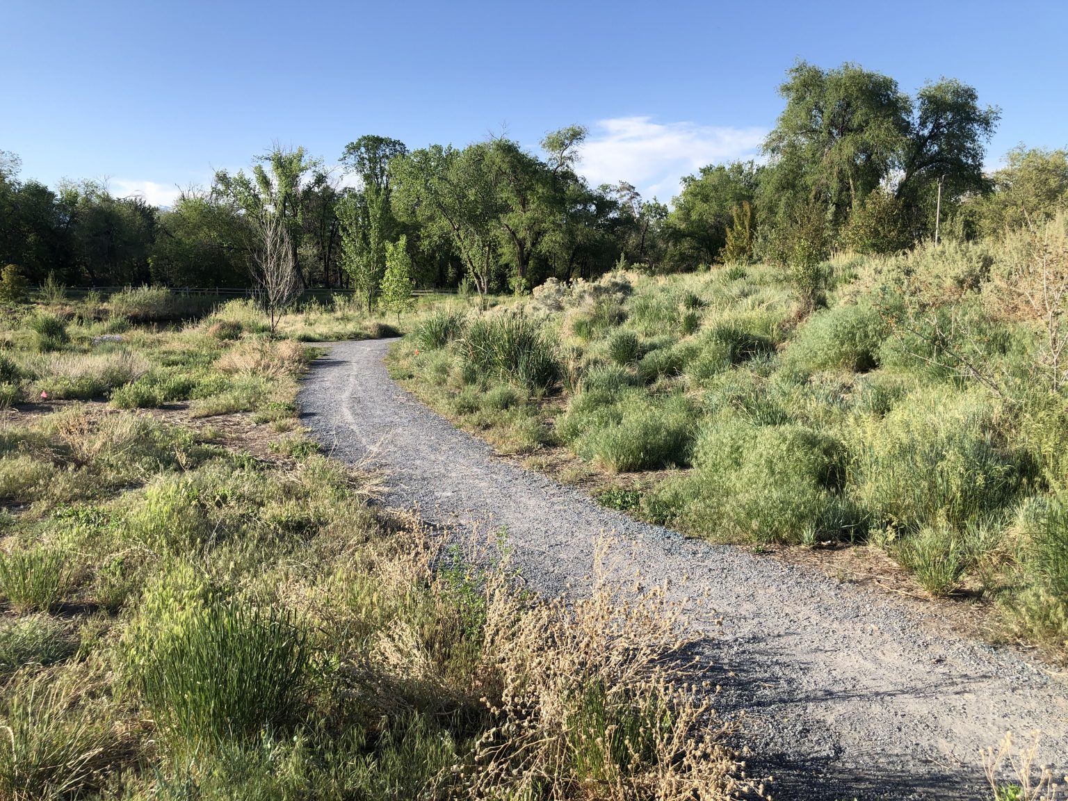 Fife Wetlands Preserve Gets page With Natural History Museum