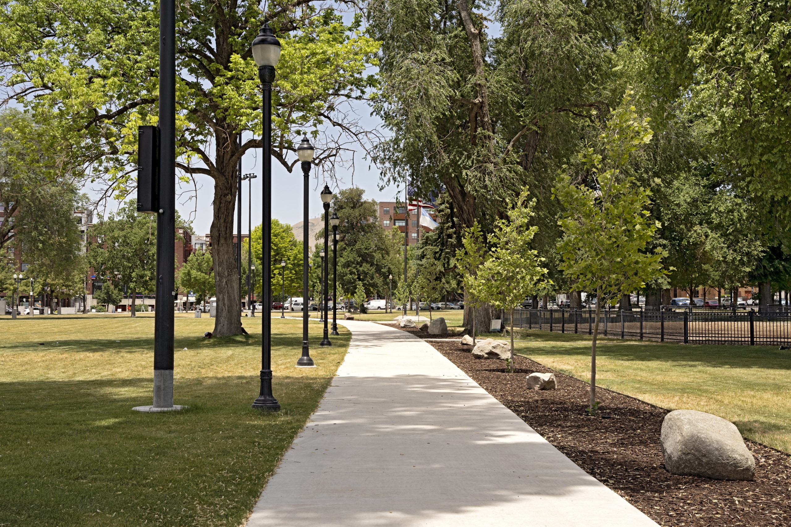 a park pathway lined with trees