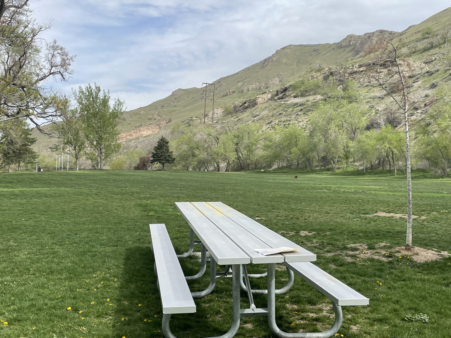 Warm Springs Park and North Gateway Park Reimagine Neighborhood Parks