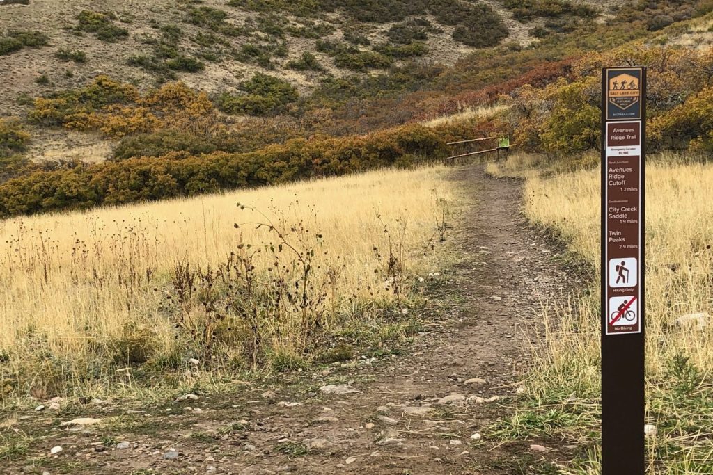Social Trails in the Foothills | Public Lands Department