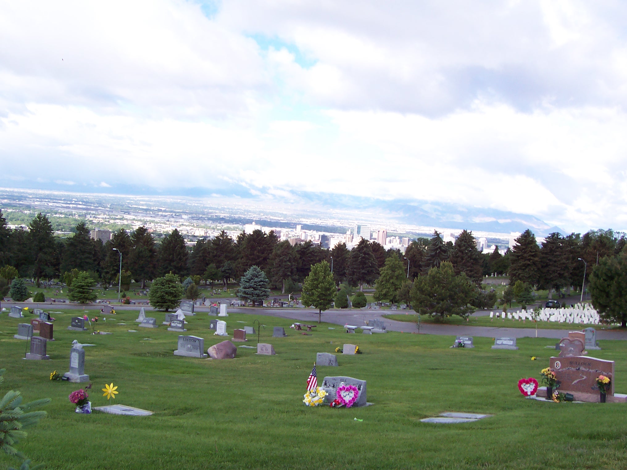 a cemetery with trees and a city in the background.