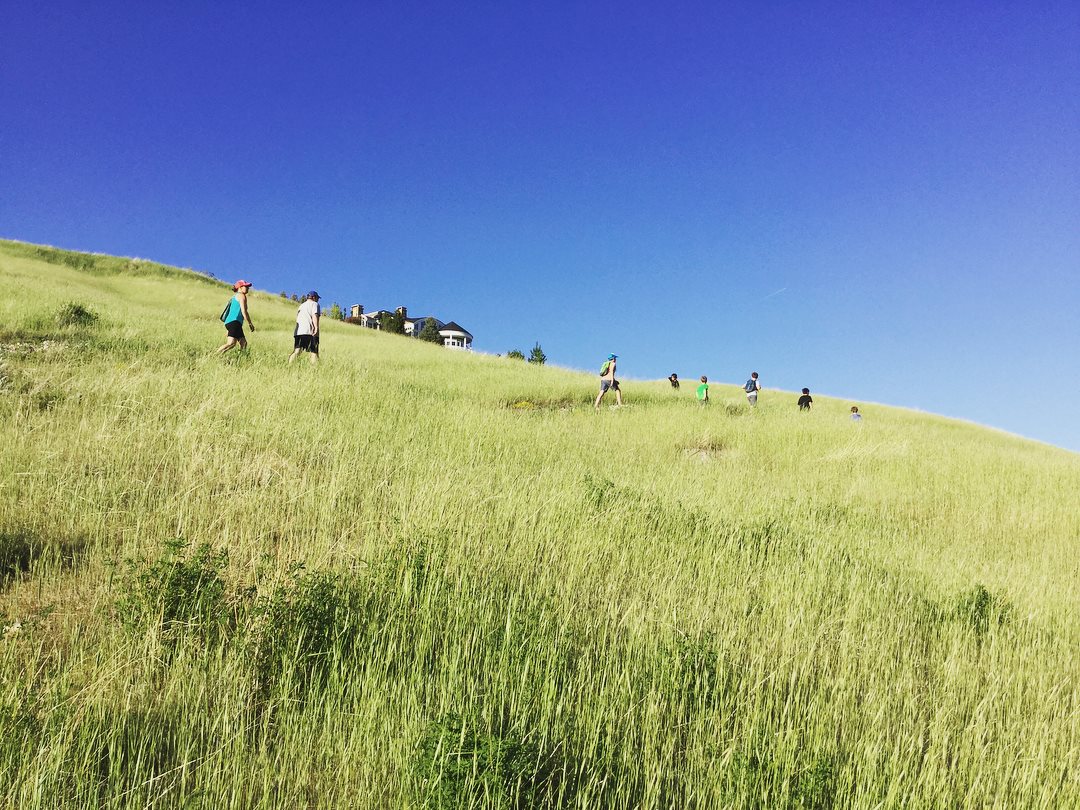 Small group of people walking through tall grass on a hill.