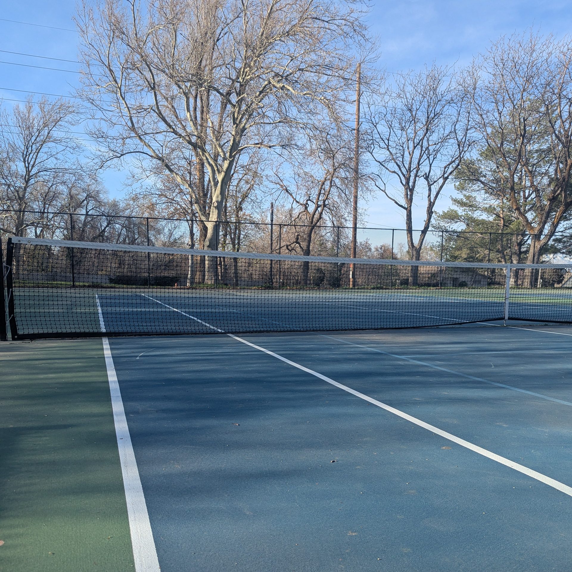 Photo of the tennis court at Sunnyside Park