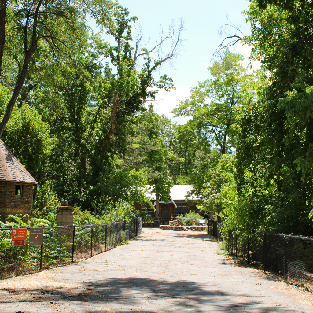 Allen Park | Public Lands Department