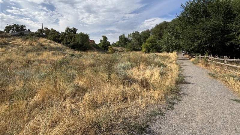 A trail in Salt Lake City.