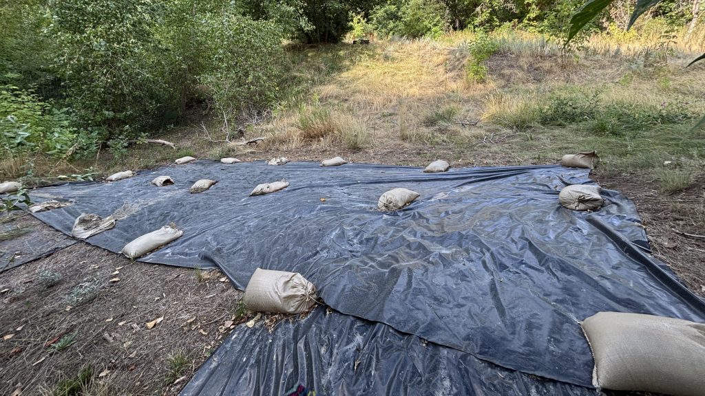 Occultation Tarps that are killing invasive plants in the soil.