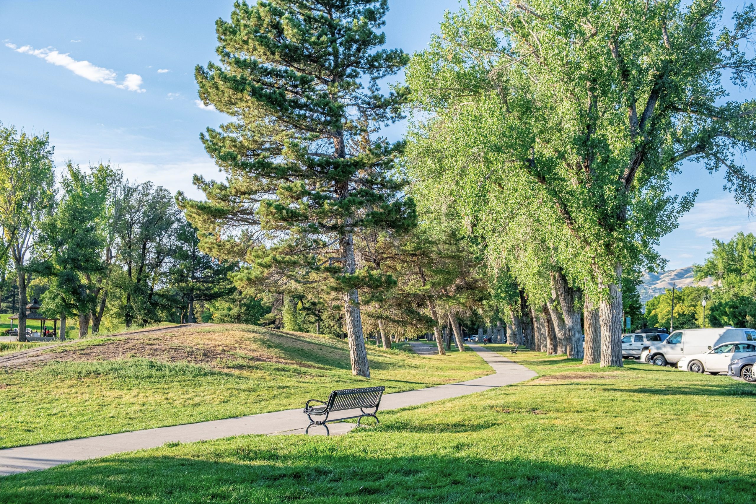 black bench on the side of a park path