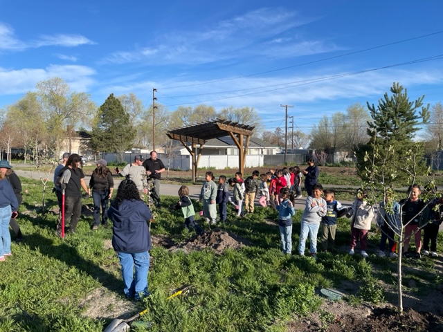 volunteers gather in a field ready to plant new plants. 