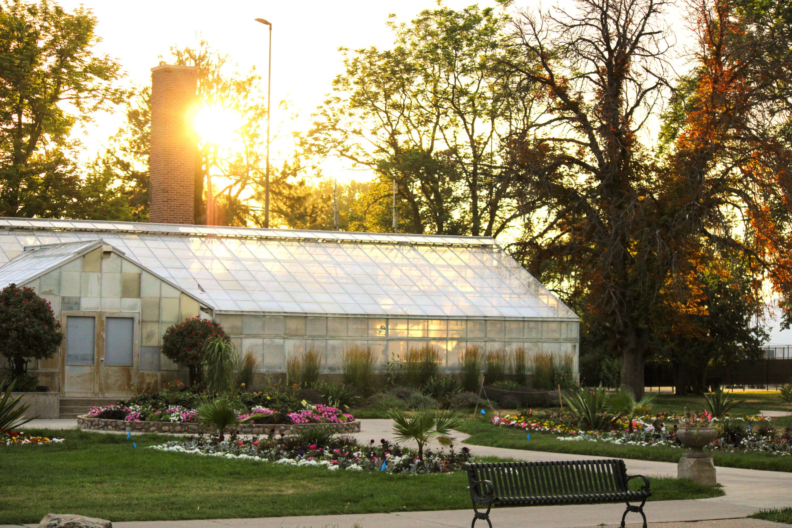 greenhouse image