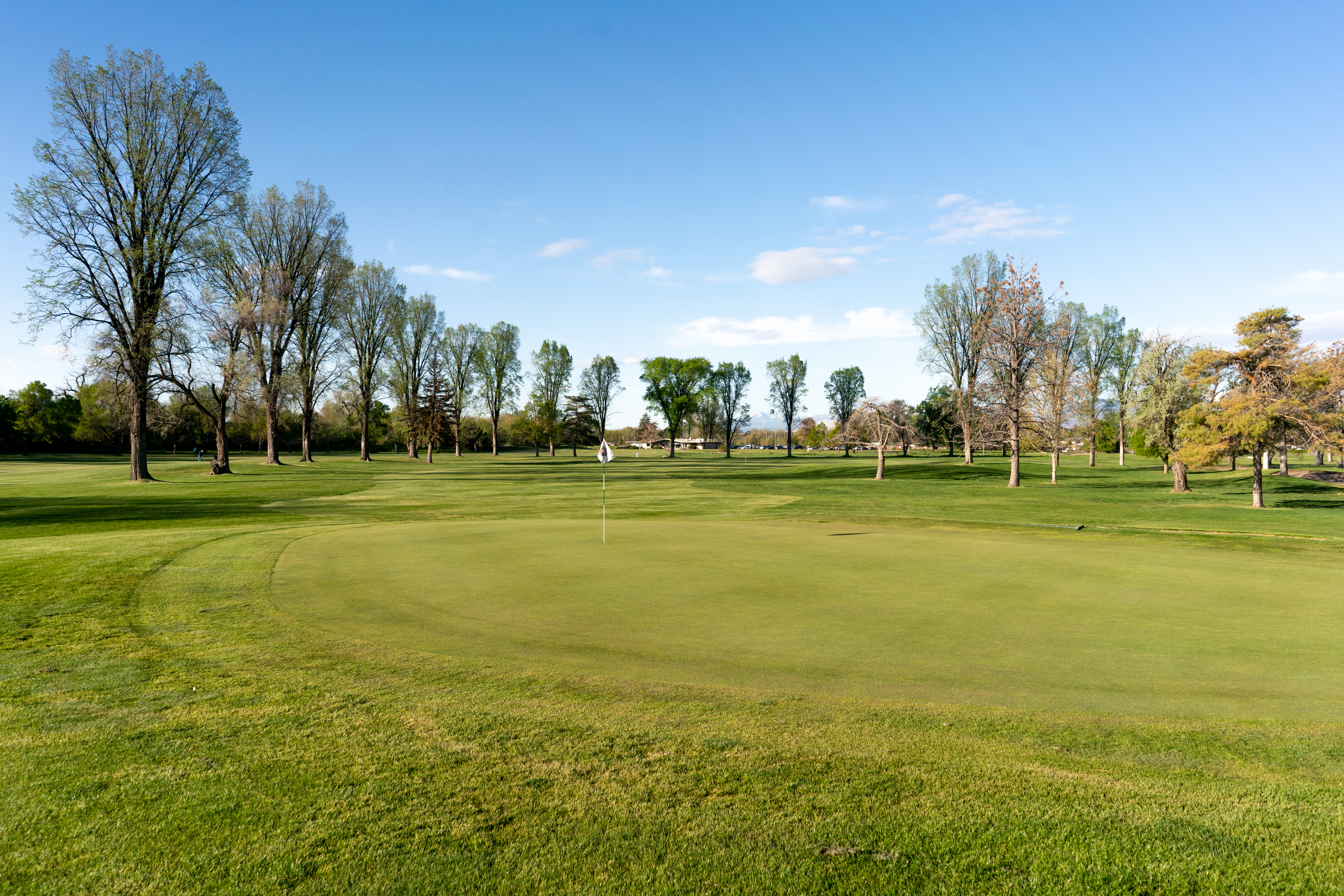 a large, grassy expanse 