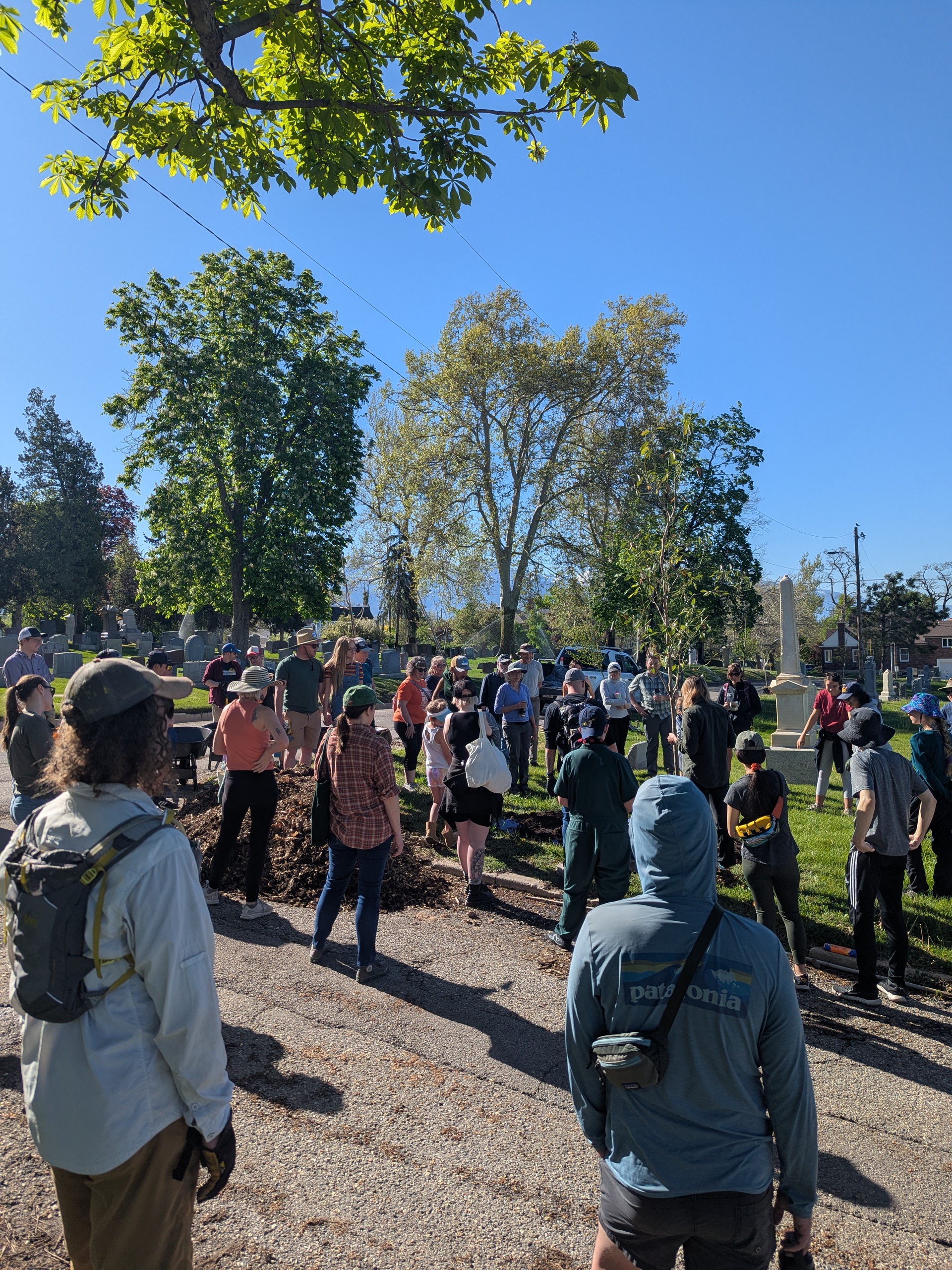 a large crowd gather in the cemetery to learn how to plant trees in the area. 